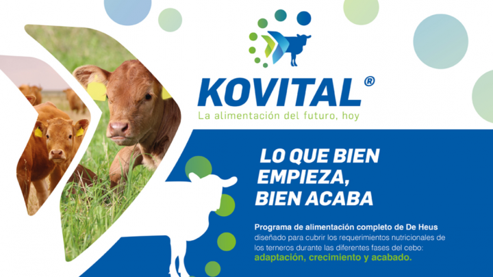 Kovital®, el nuevo plan nutricional de De Heus para un funcionamiento  óptimo del rumen