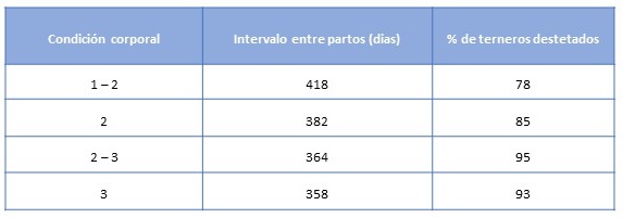 tabla_2.jpg