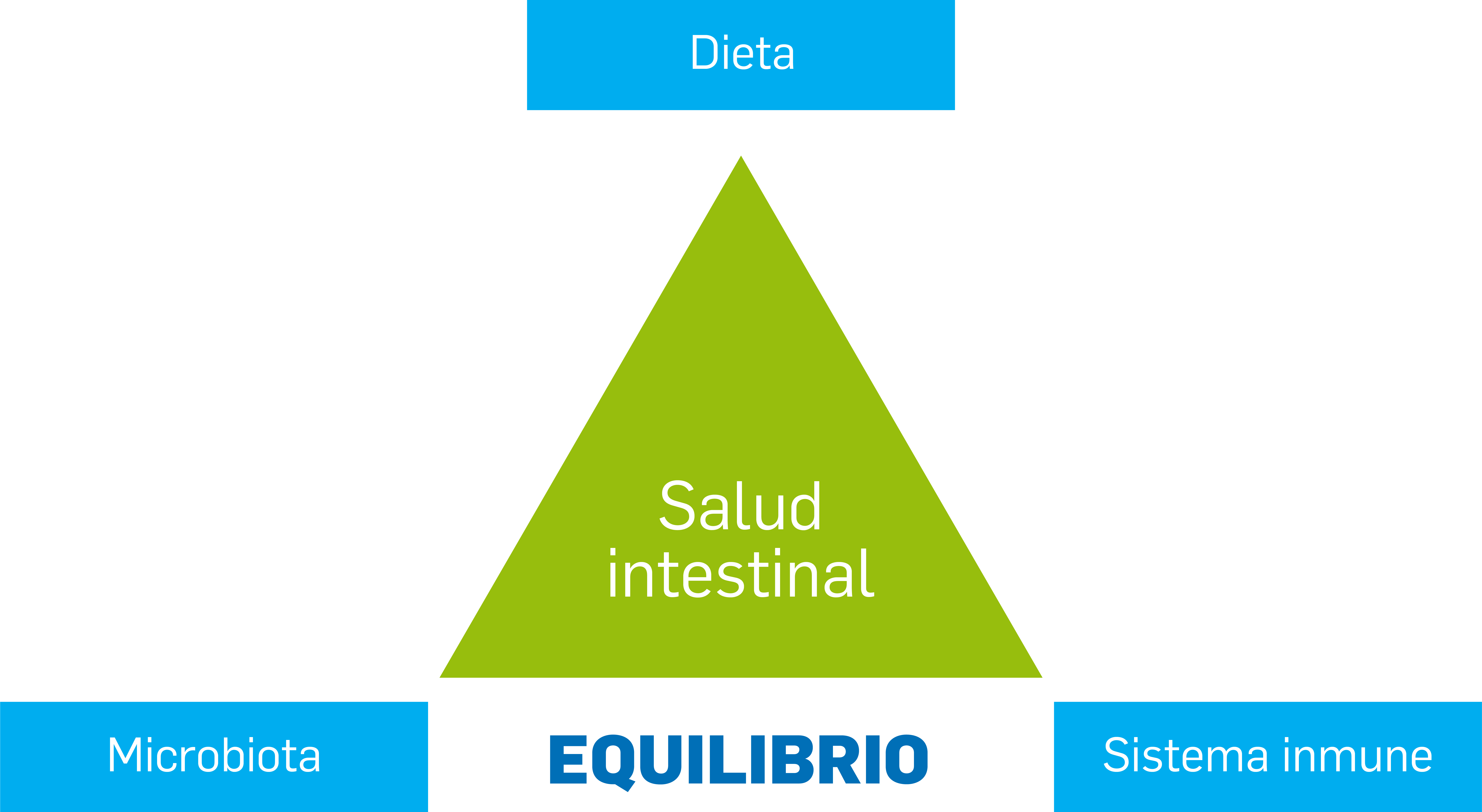 salud intestinal natural power grafico_Intestinal healt triangle.jpg