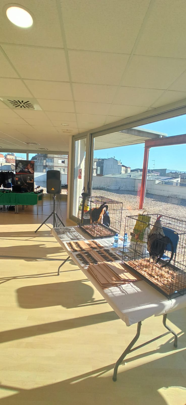 Expo Cerceda (1).jpg