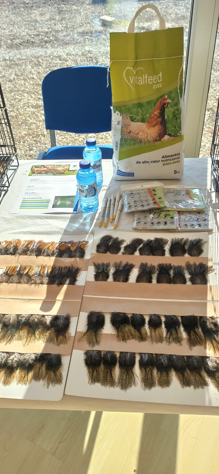 Expo Cerceda (2).jpg