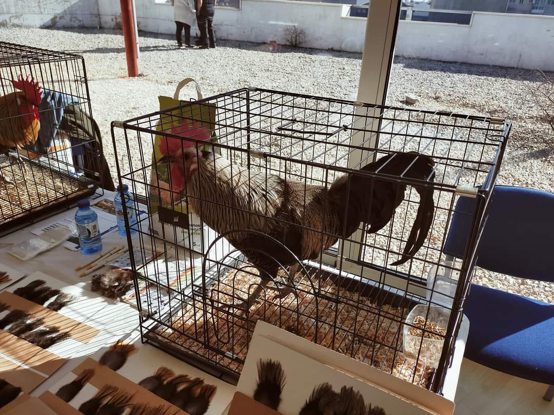 Expo Cerceda (5).jpg