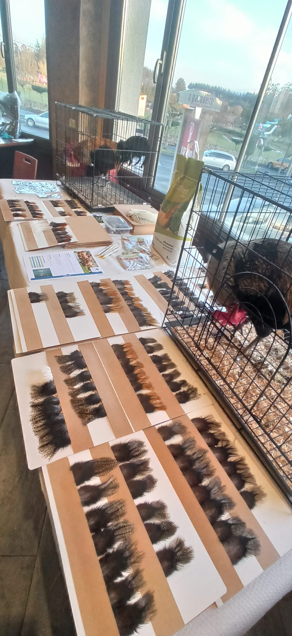 Expo Cerceda (7).jpg