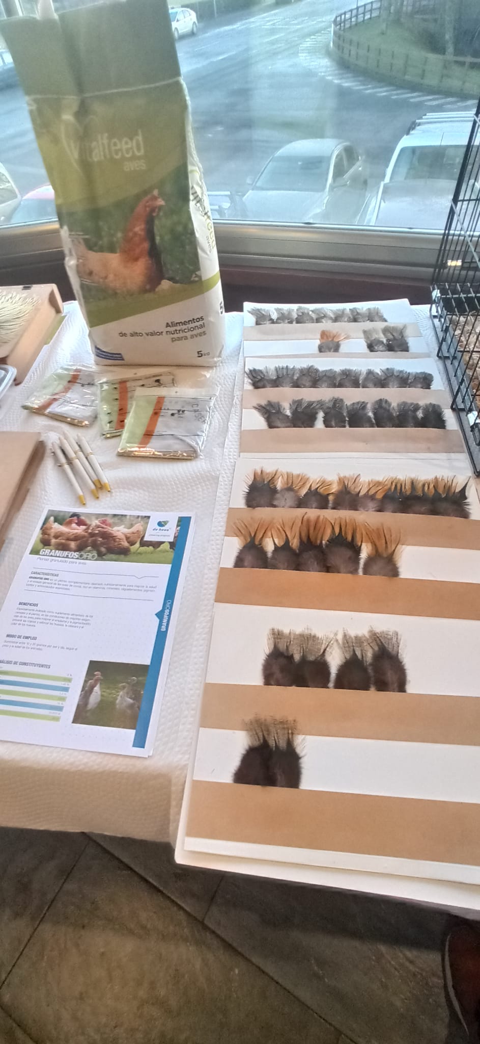 Expo Cerceda (8).jpg