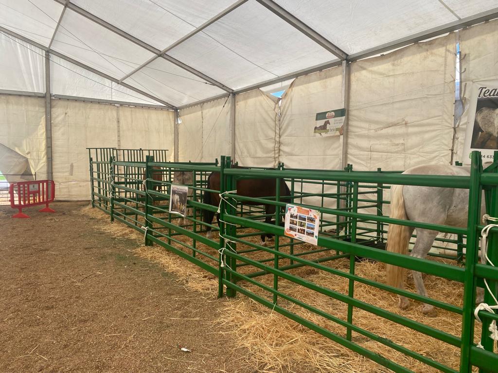 Feria de la Cuerda_ (4).jpg