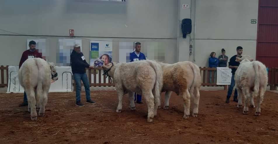 Feria Salamanca (4).jpg