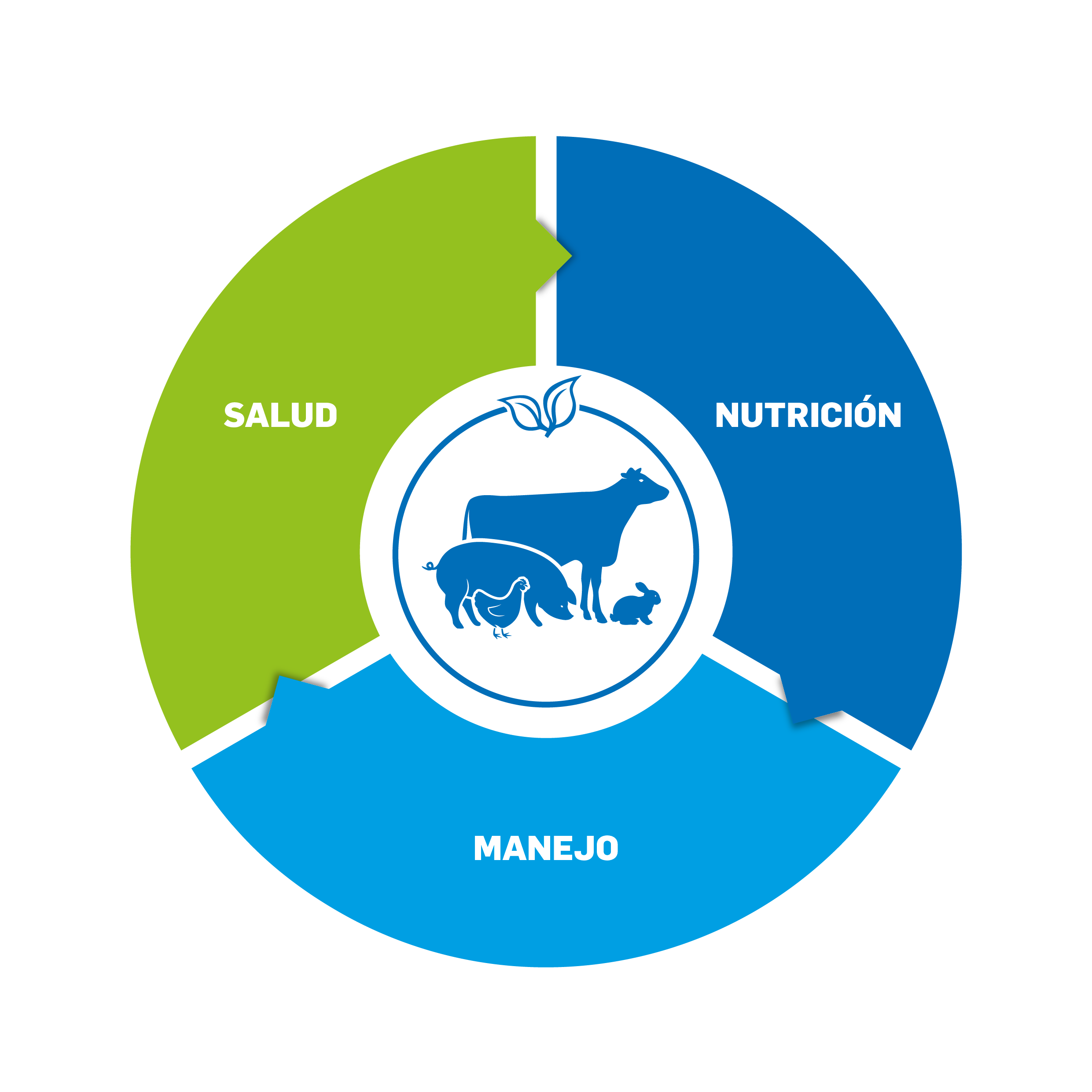 Natural_power_diagrama_dhv21181_Natural_power_schema_diagram_met_vis_CMYK.png